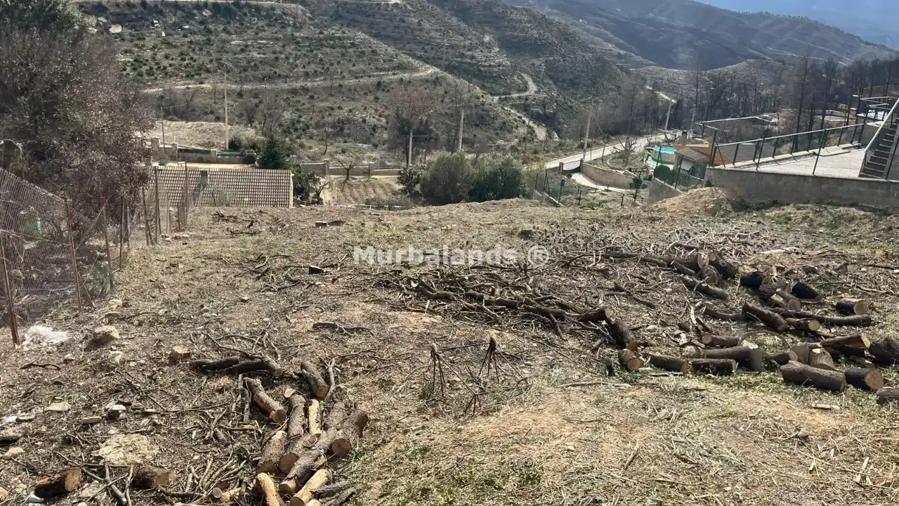 Foto del anuncio Ref. 00005351