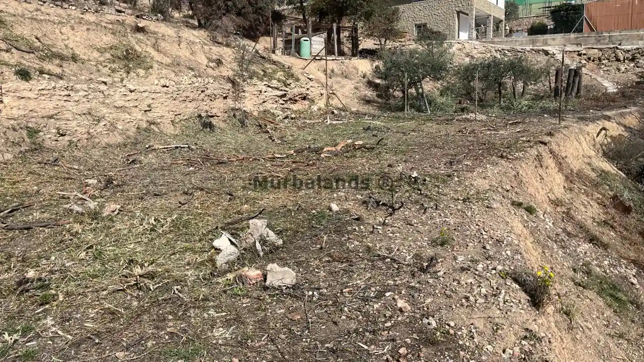 Foto del anuncio Ref. 00005351