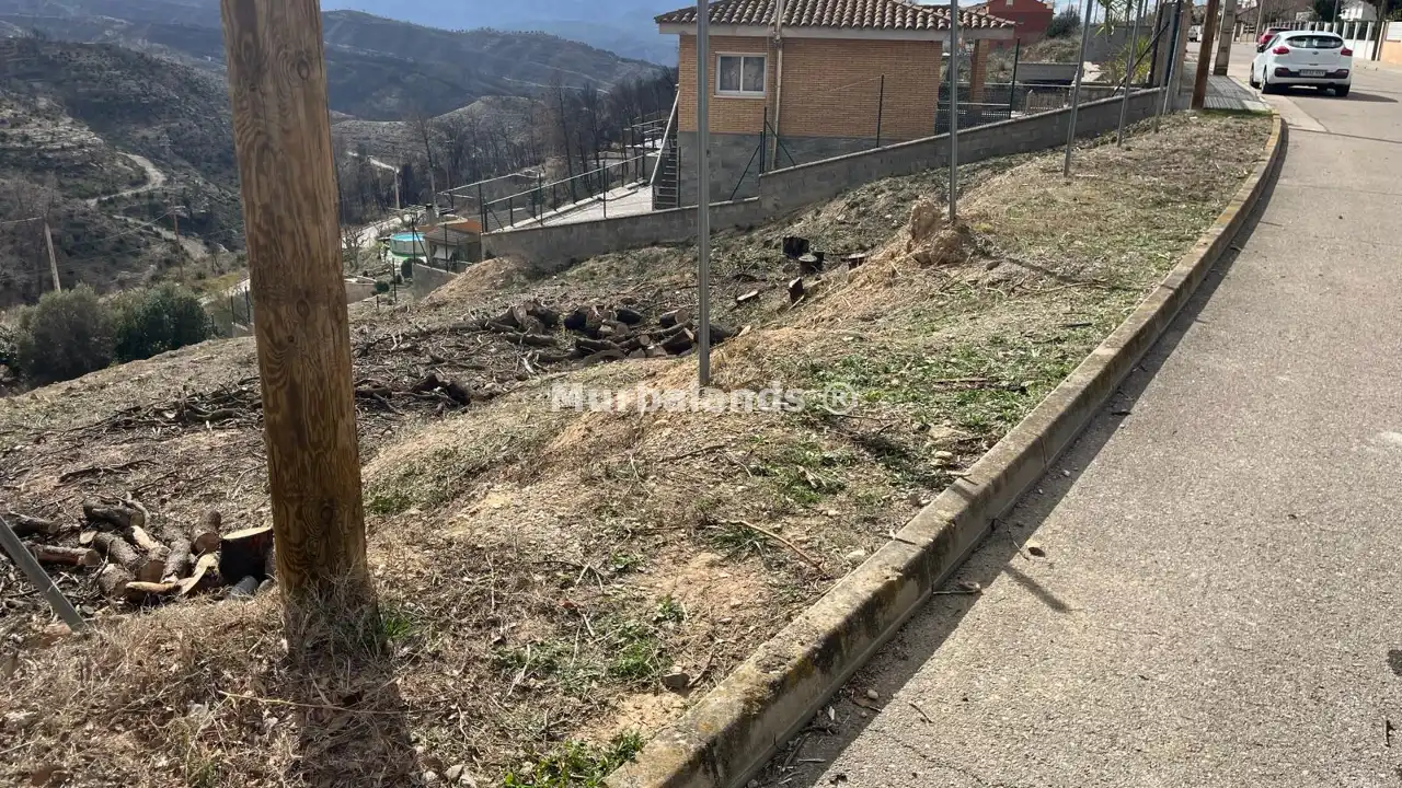 Foto del anuncio Ref. 00005351