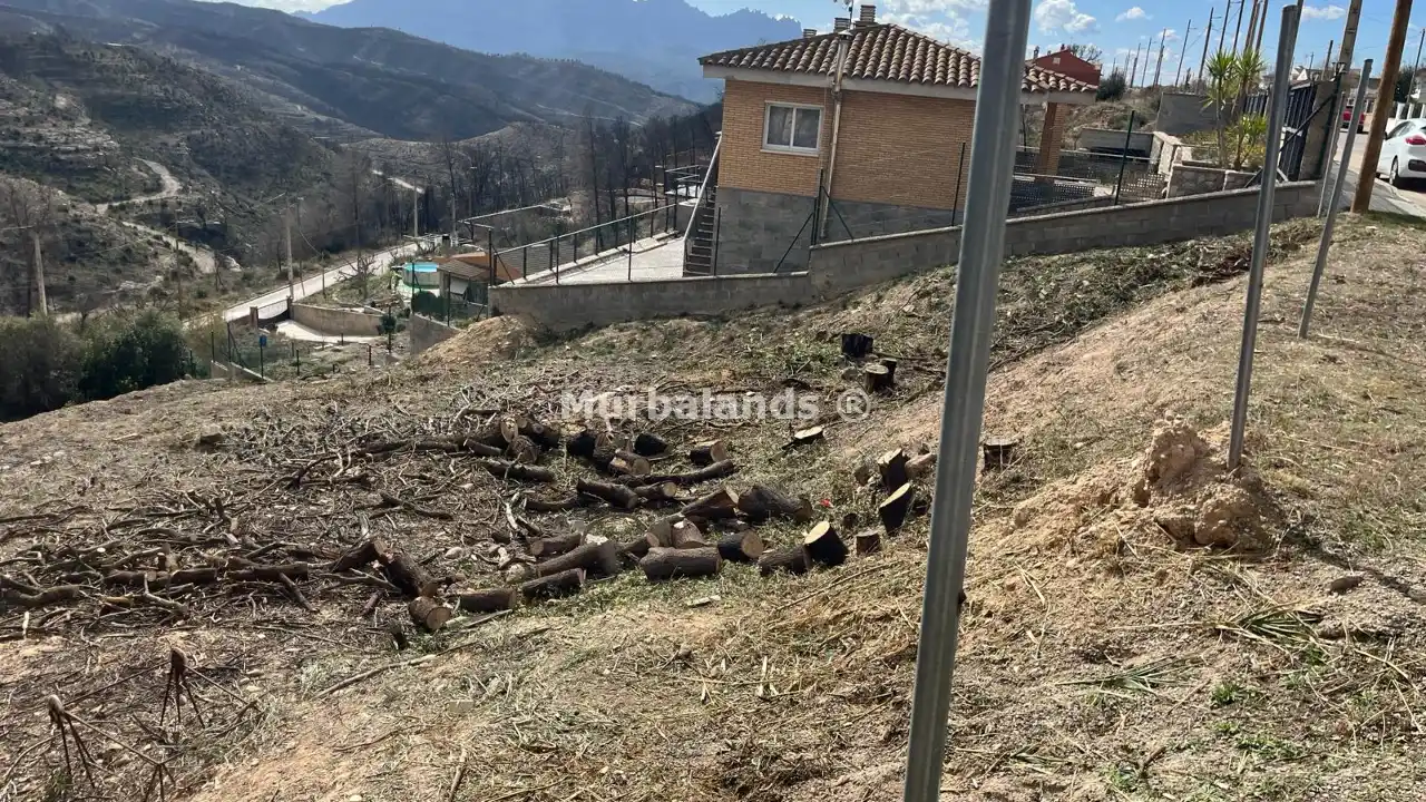 Foto del anuncio Ref. 00005351