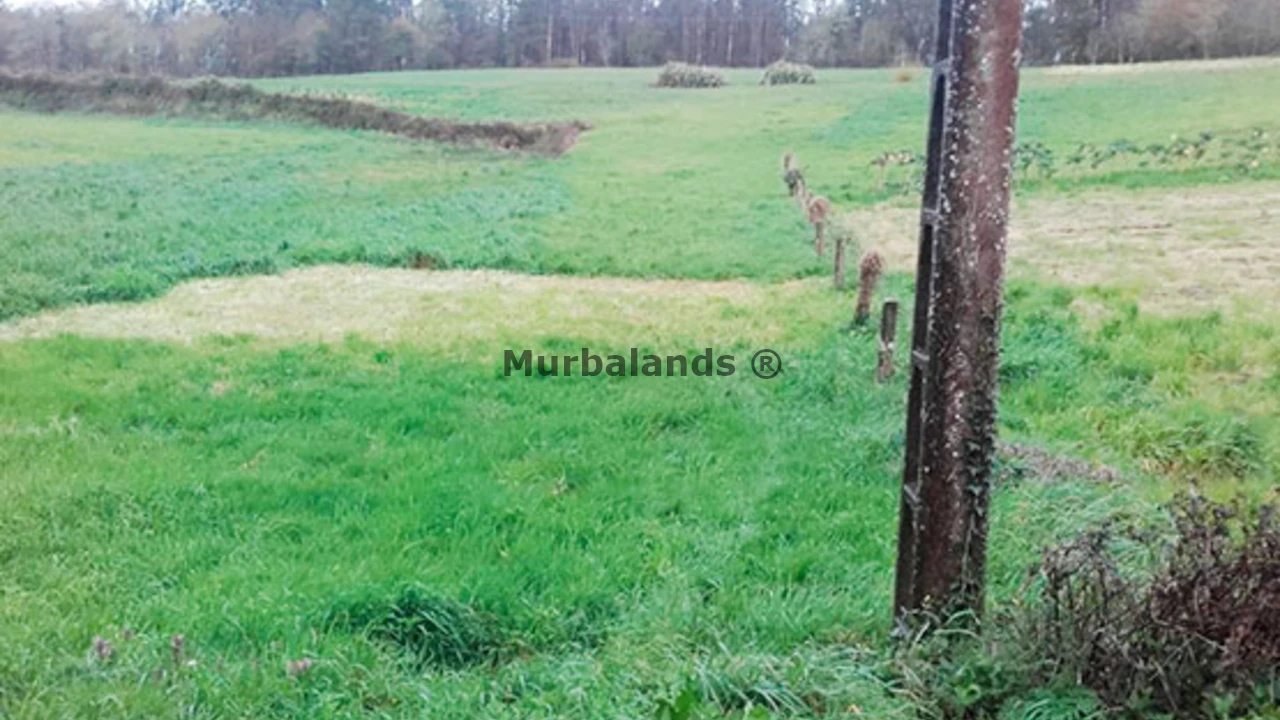 Foto de un terreno o una obra parada para mostrar en el detalle del inmueble