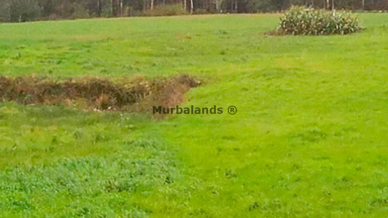 Foto de un terreno o una obra parada para mostrar en el detalle del inmueble
