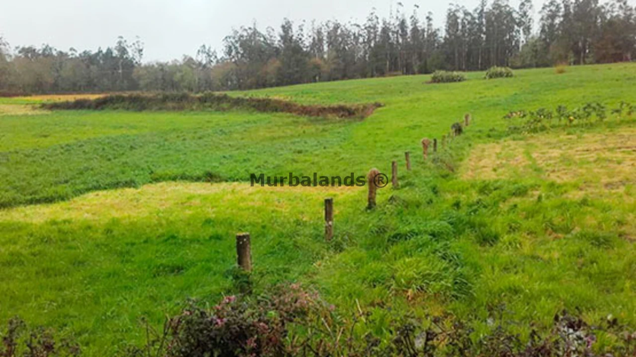 Foto de un terreno o una obra parada para mostrar en el detalle del inmueble