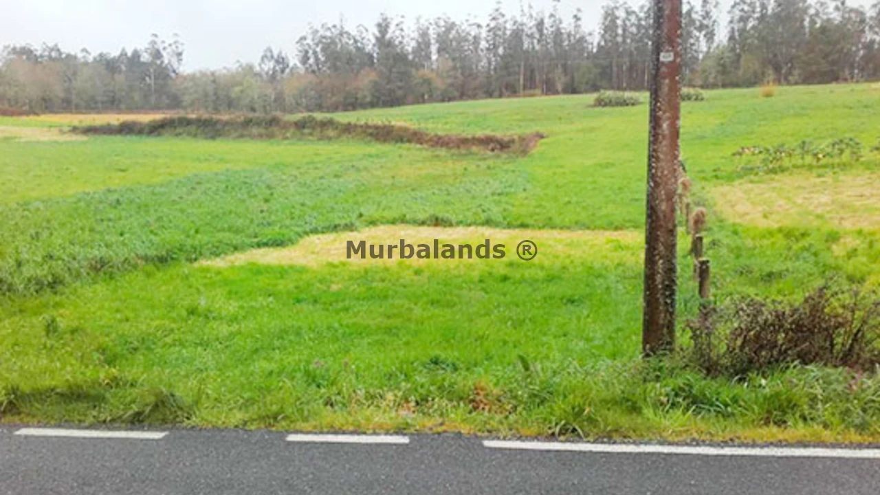 Foto de un terreno o una obra parada para mostrar en el detalle del inmueble