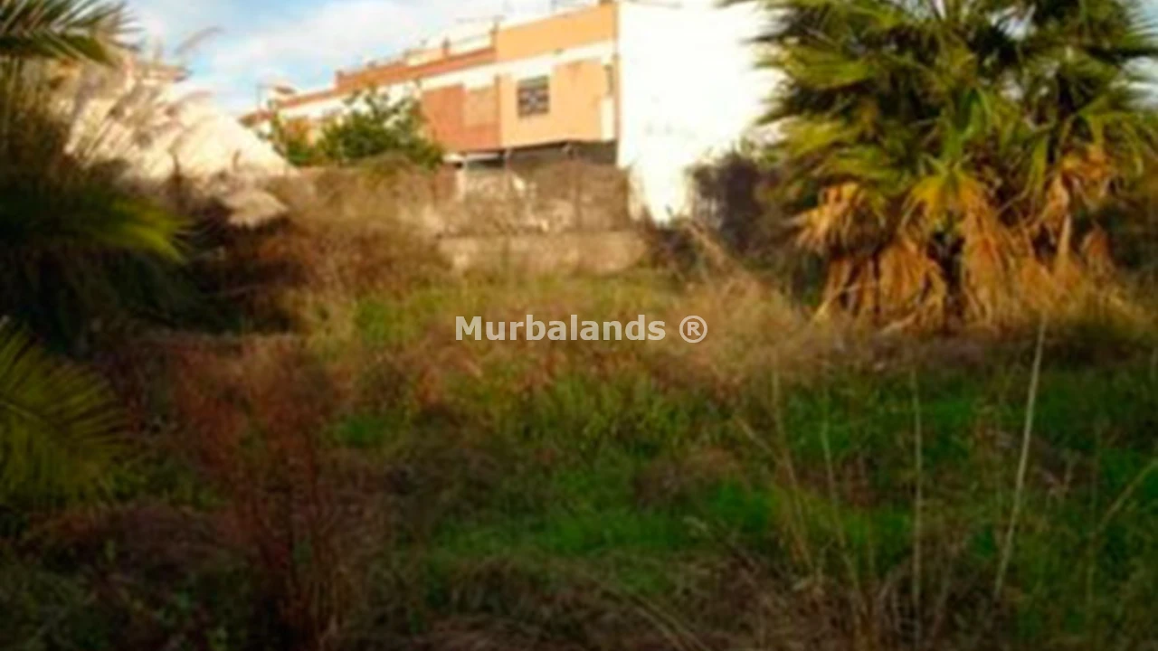 Foto 4 del terreno Ref. 00004983