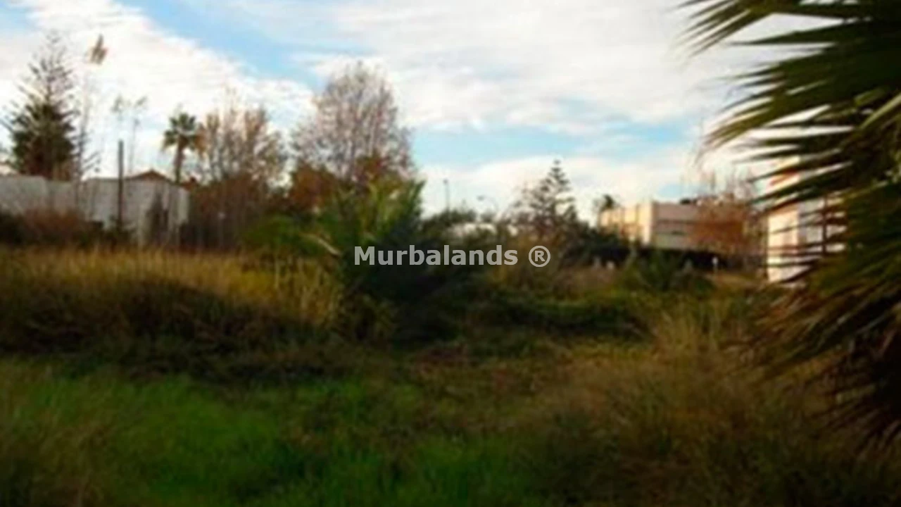 Terreno destacado