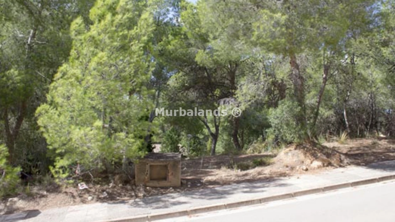 Foto de un terreno o una obra parada para mostrar en el detalle del inmueble