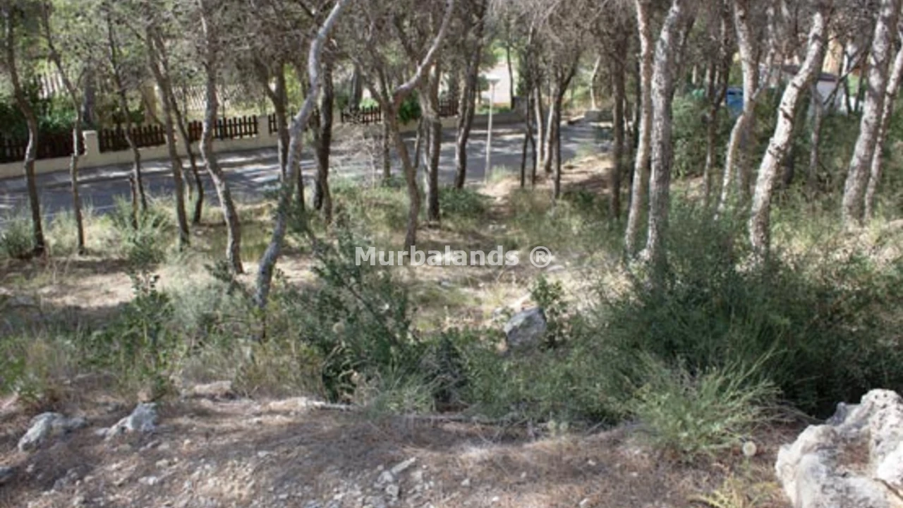 Foto de un terreno o una obra parada para mostrar en el detalle del inmueble