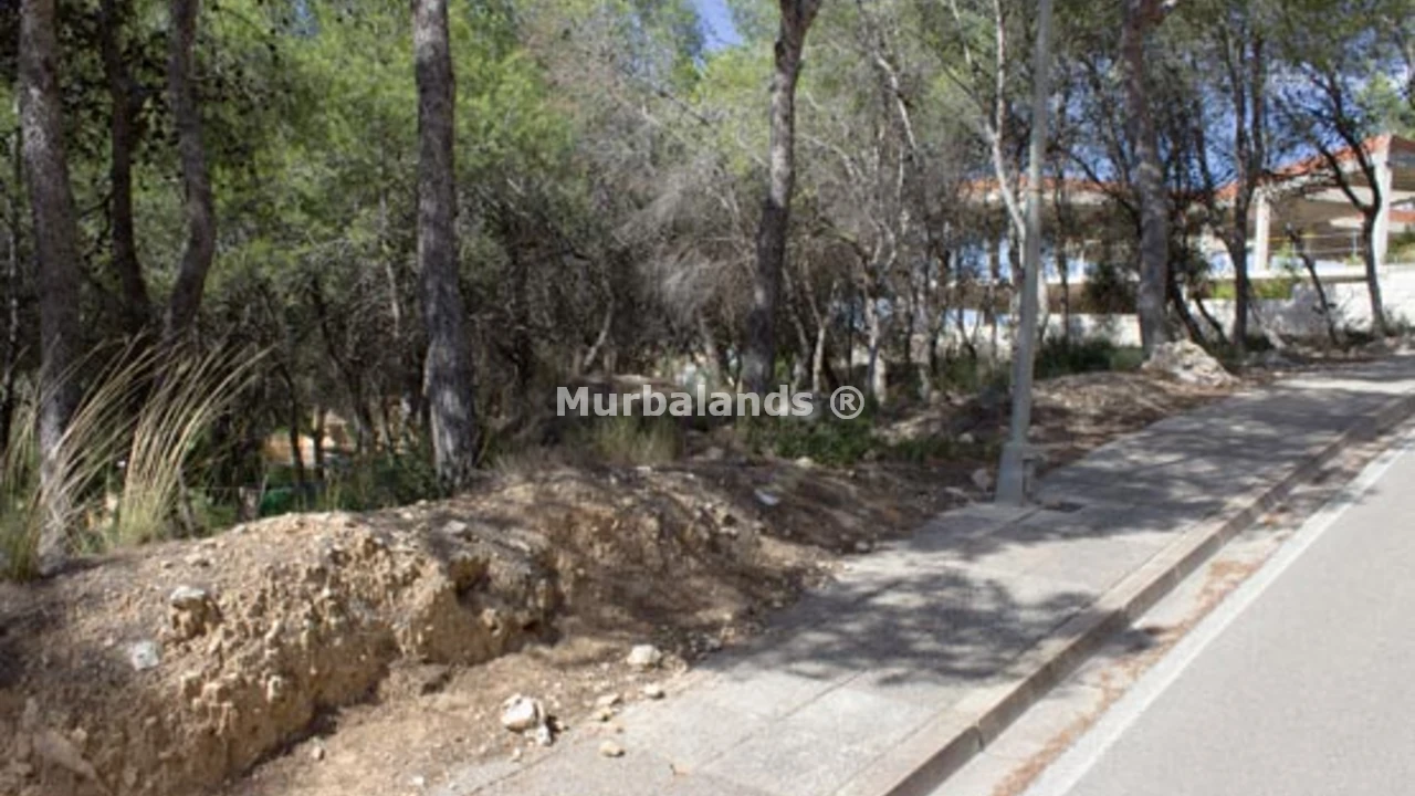 Foto de un terreno o una obra parada para mostrar en el detalle del inmueble