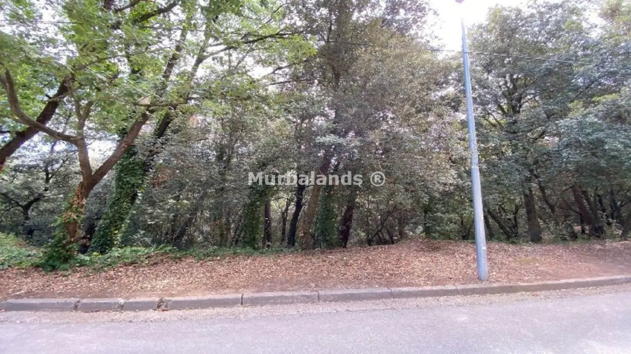 Foto de un terreno o una obra parada para mostrar en el detalle del inmueble