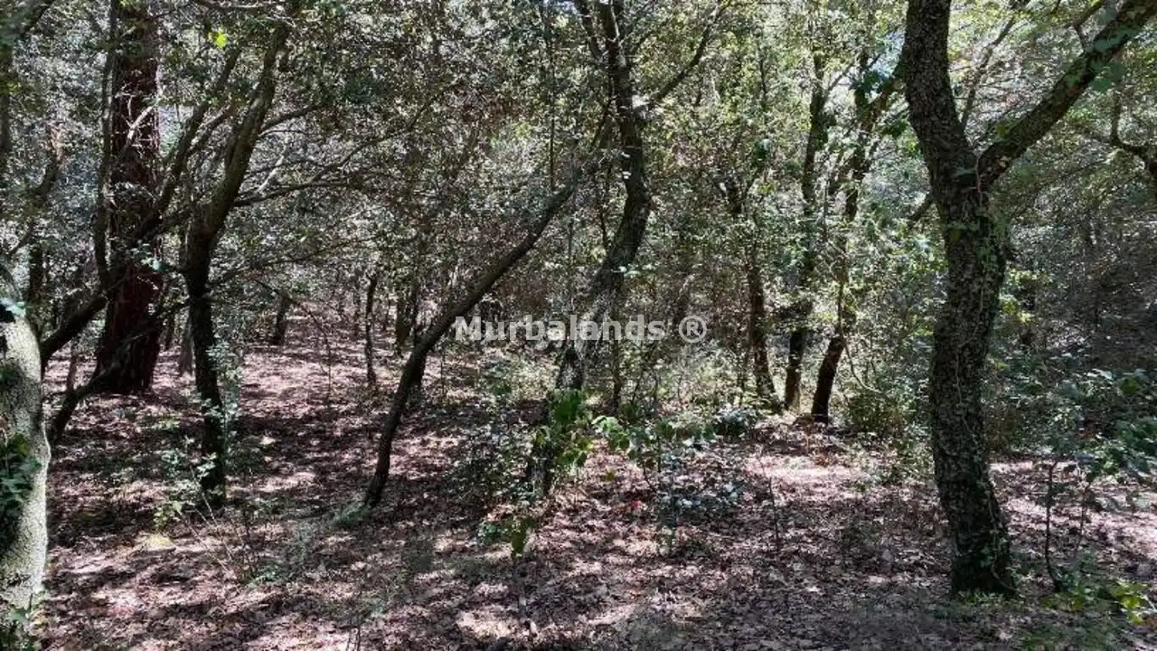 Foto de un terreno o una obra parada para mostrar en el detalle del inmueble