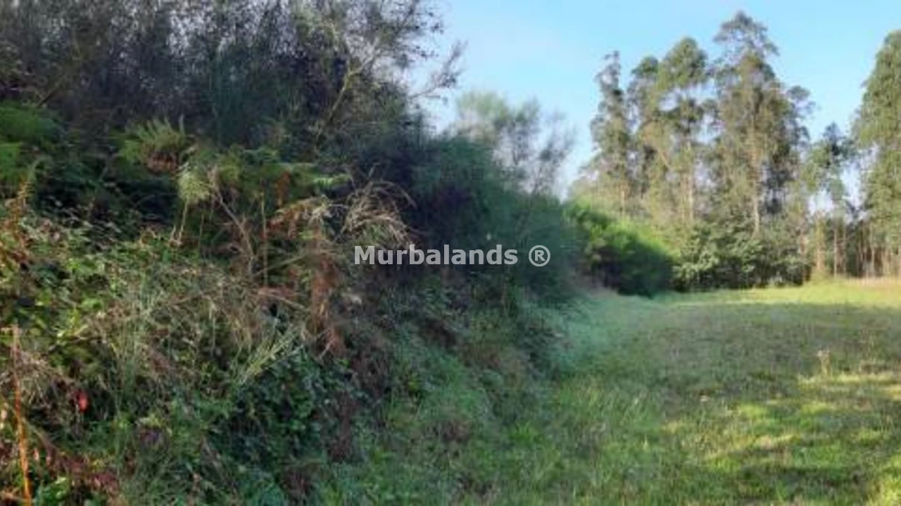 Foto de un terreno o una obra parada para mostrar en el detalle del inmueble