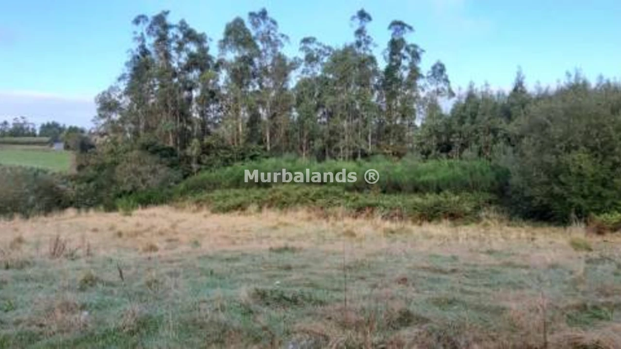 Foto de un terreno o una obra parada para mostrar en el detalle del inmueble