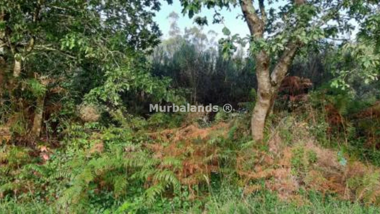 Foto de un terreno o una obra parada para mostrar en el detalle del inmueble