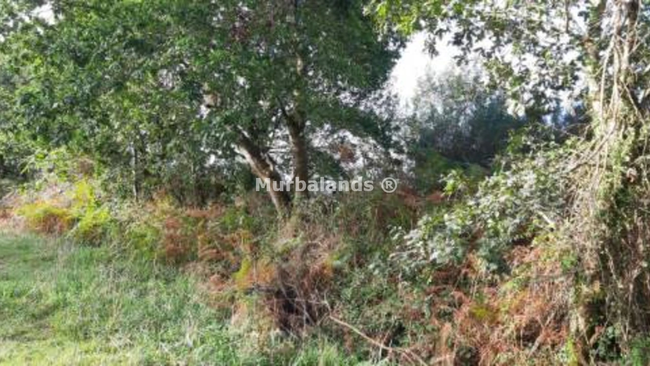 Foto de un terreno o una obra parada para mostrar en el detalle del inmueble