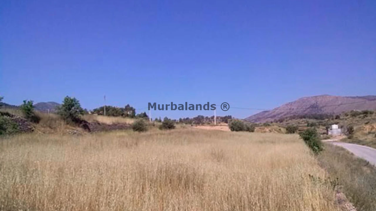 Foto de un terreno o una obra parada para mostrar en el detalle del inmueble