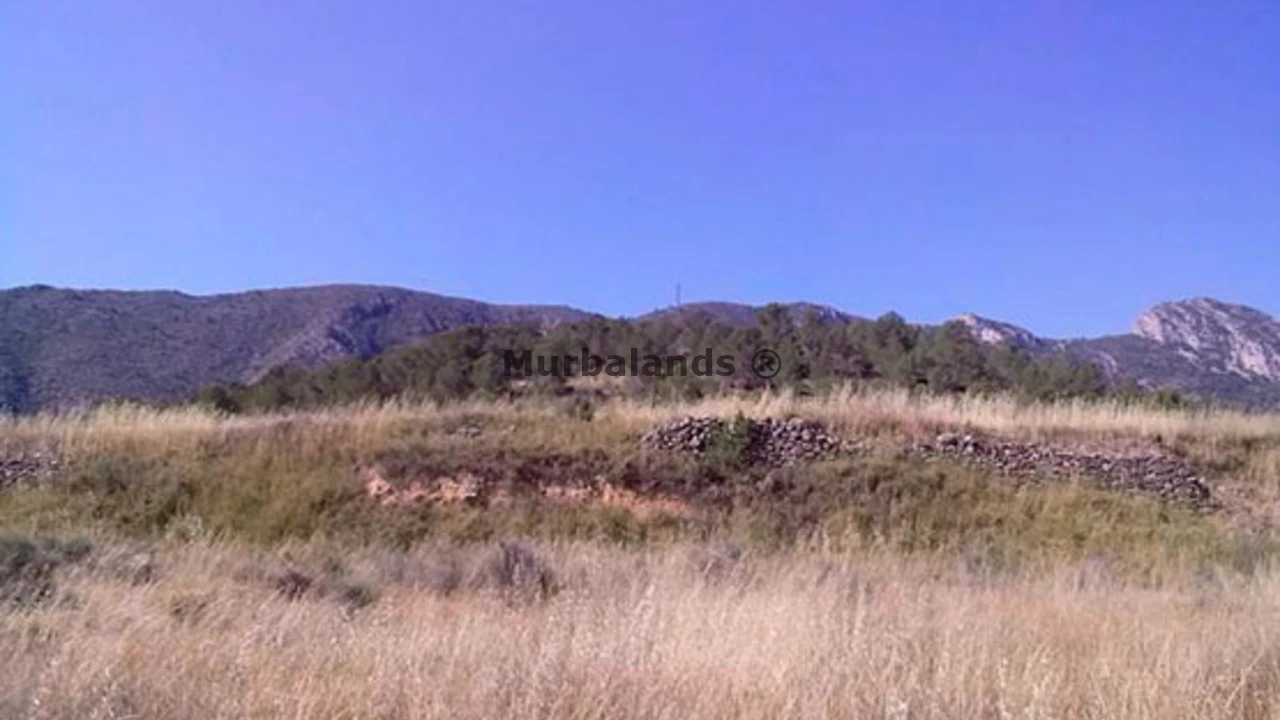 Foto de un terreno o una obra parada para mostrar en el detalle del inmueble