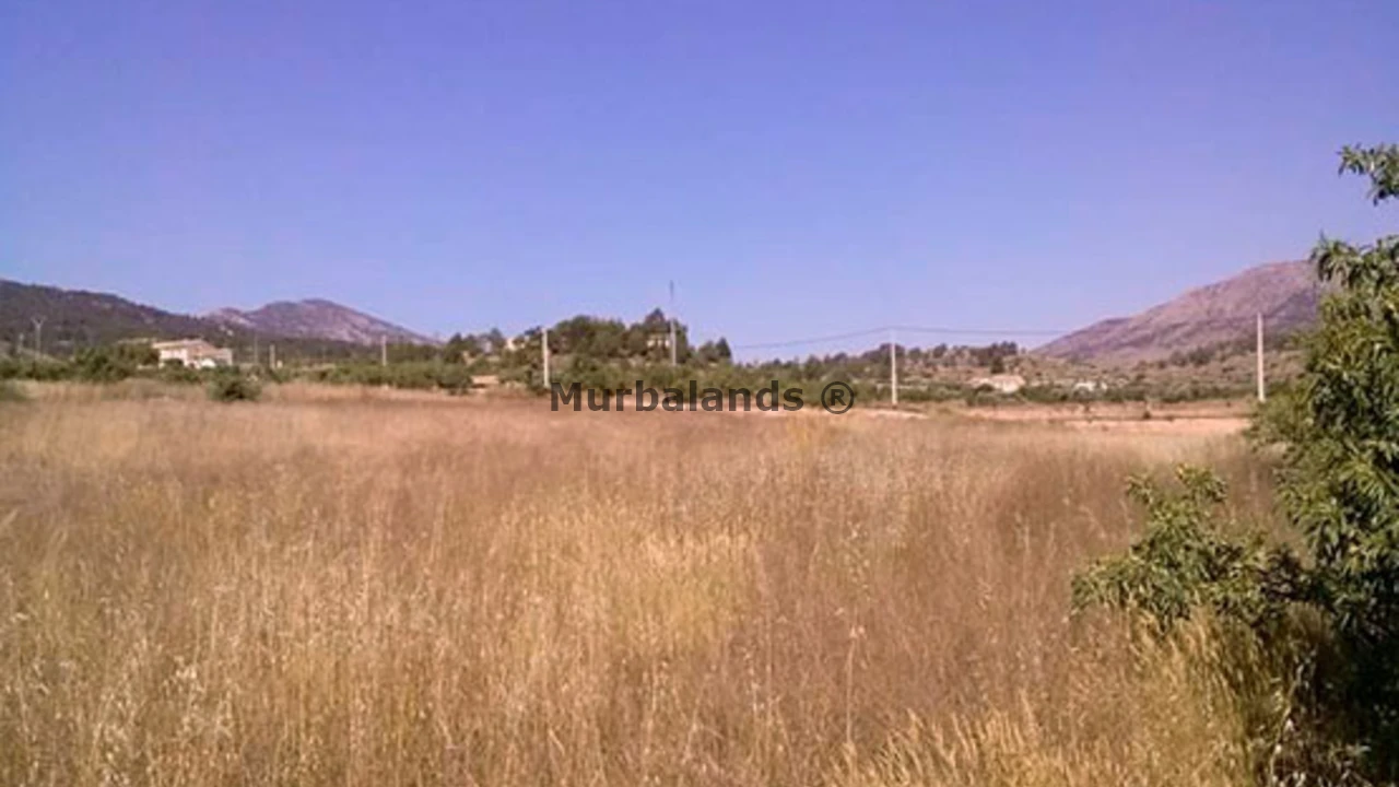 Foto de un terreno o una obra parada para mostrar en el detalle del inmueble