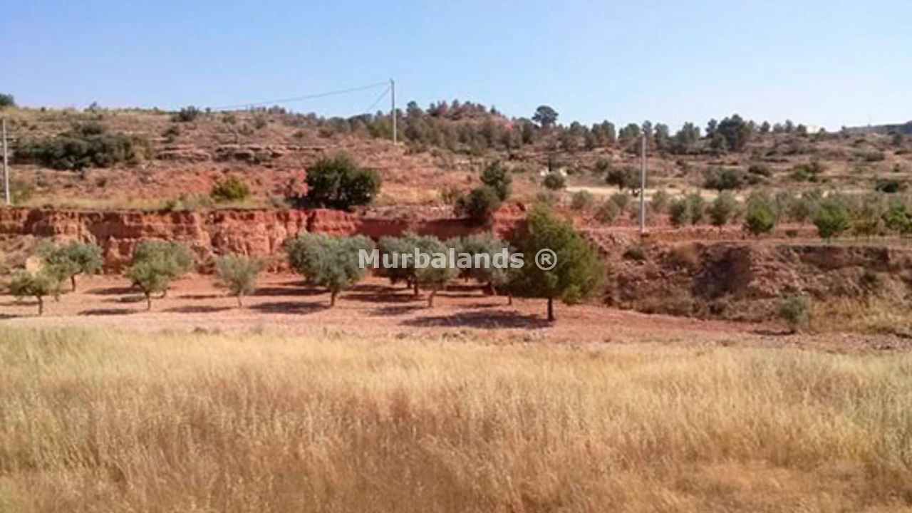 Foto de un terreno o una obra parada para mostrar en el detalle del inmueble