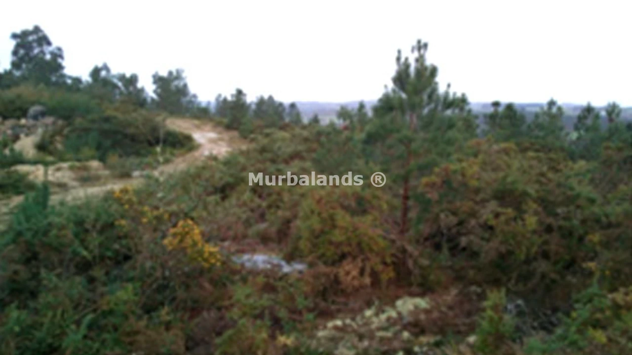 Foto de un terreno o una obra parada para mostrar en el detalle del inmueble