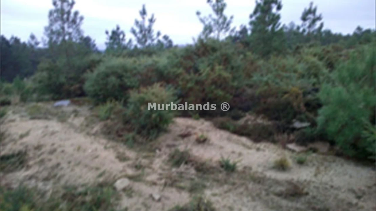 Foto de un terreno o una obra parada para mostrar en el detalle del inmueble