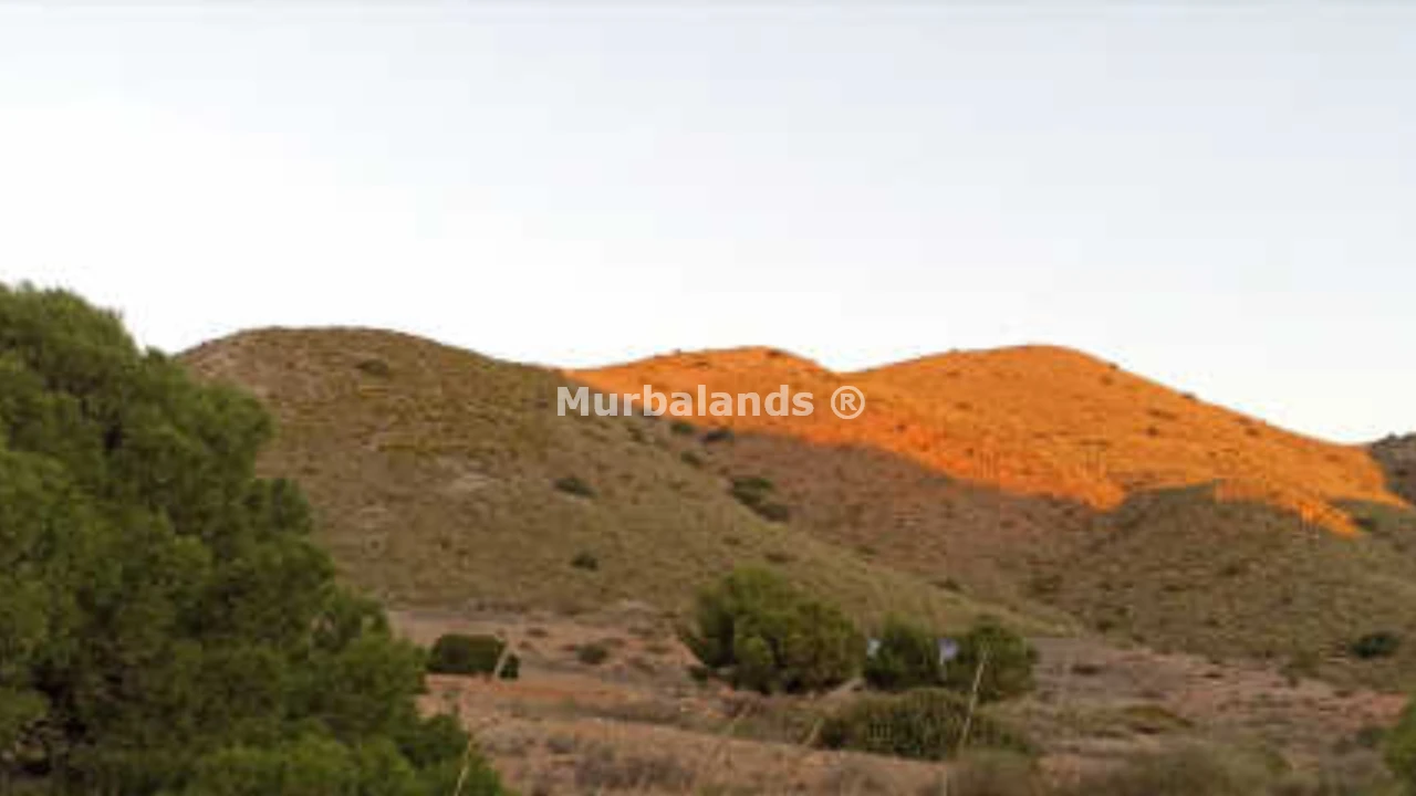 Foto del anuncio Ref. 00005327