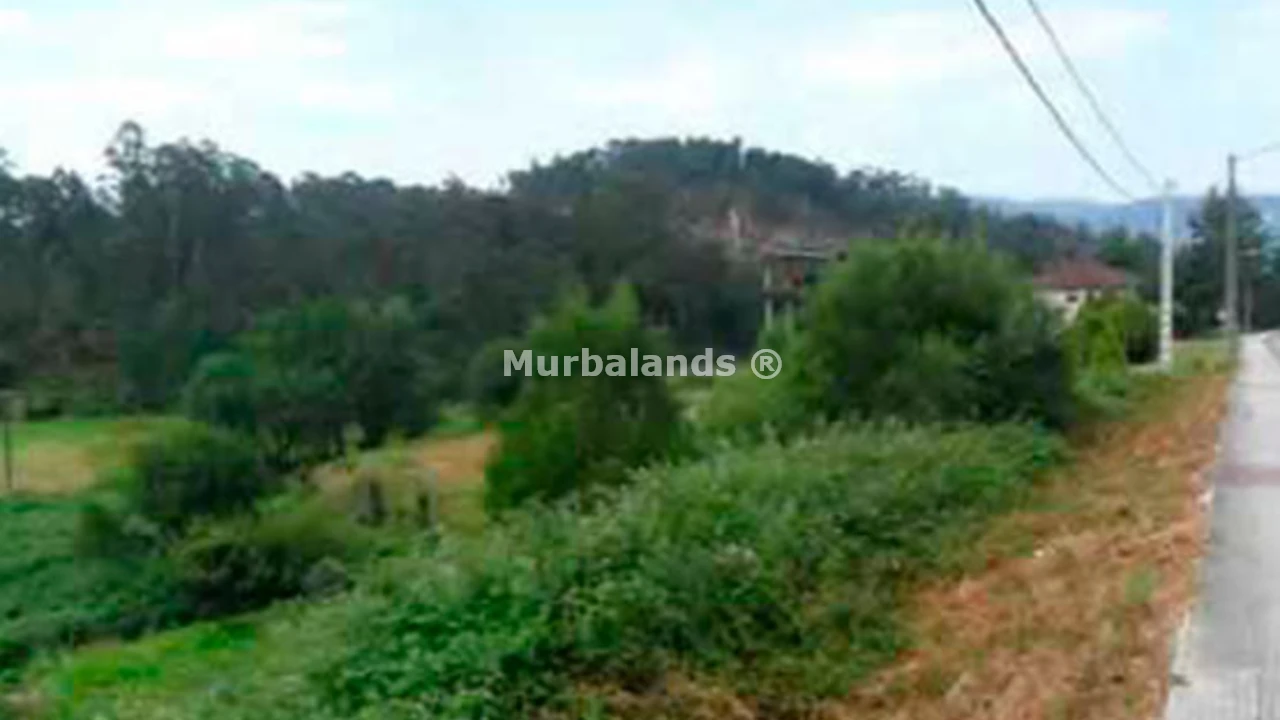 Terreno destacado