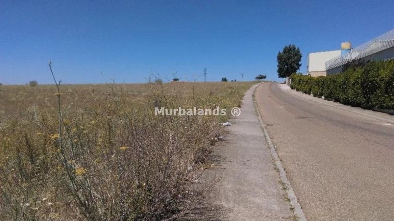 Terreno destacado
