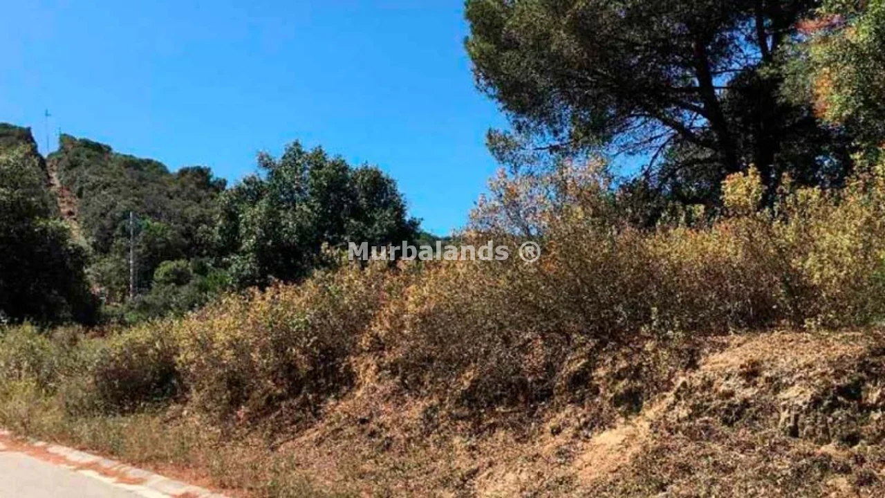 Terreno destacado