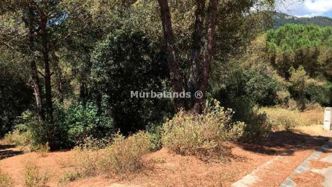 Foto de un terreno o una obra parada para mostrar en el detalle del inmueble