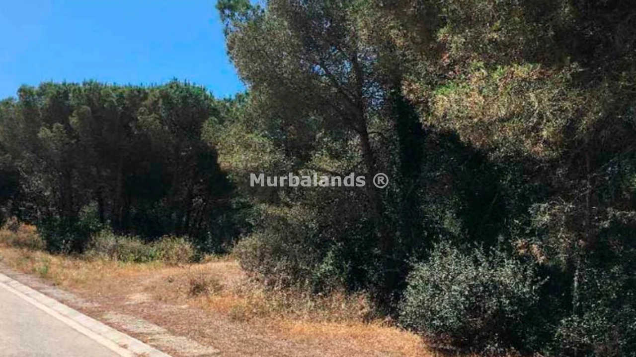 Foto de un terreno o una obra parada para mostrar en el detalle del inmueble