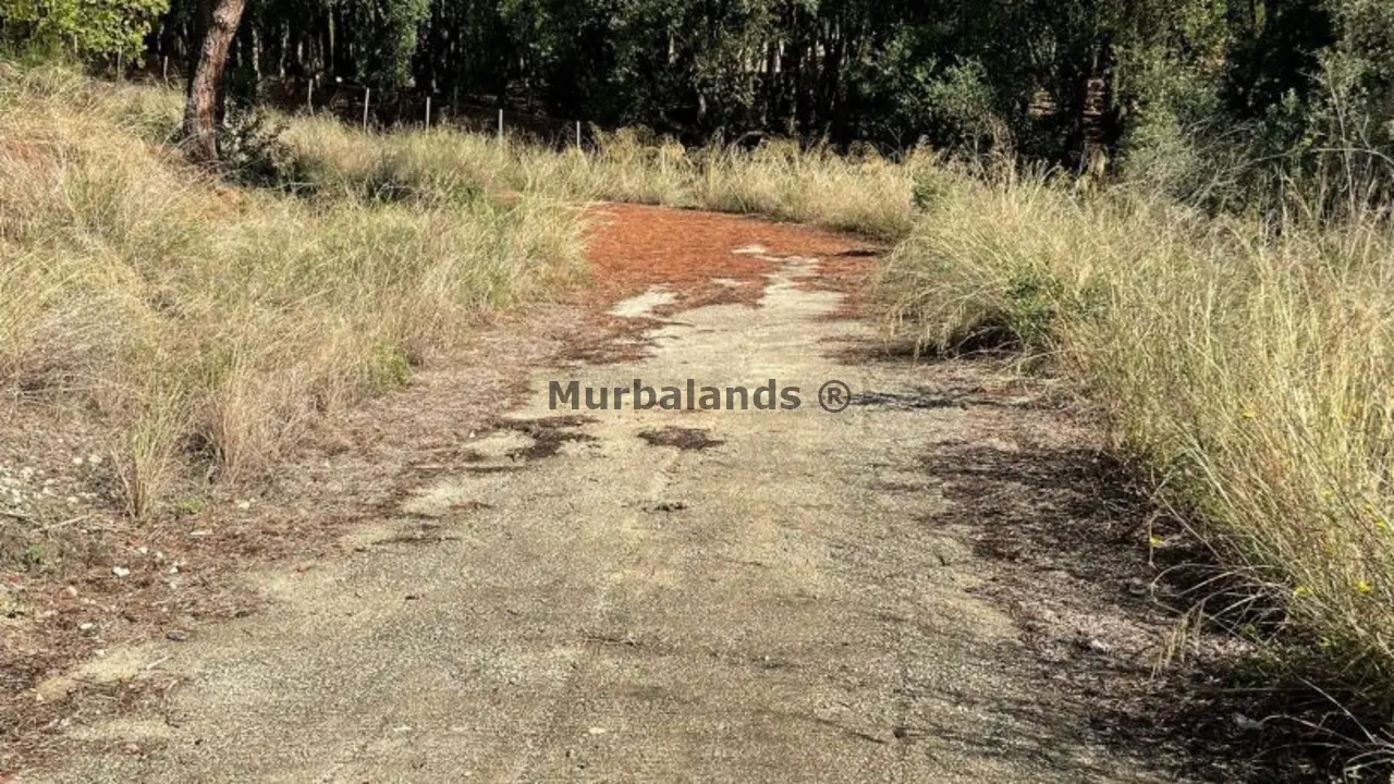 Foto de un terreno o una obra parada para mostrar en el detalle del inmueble