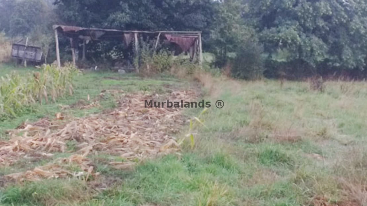 Foto de un terreno o una obra parada para mostrar en el detalle del inmueble