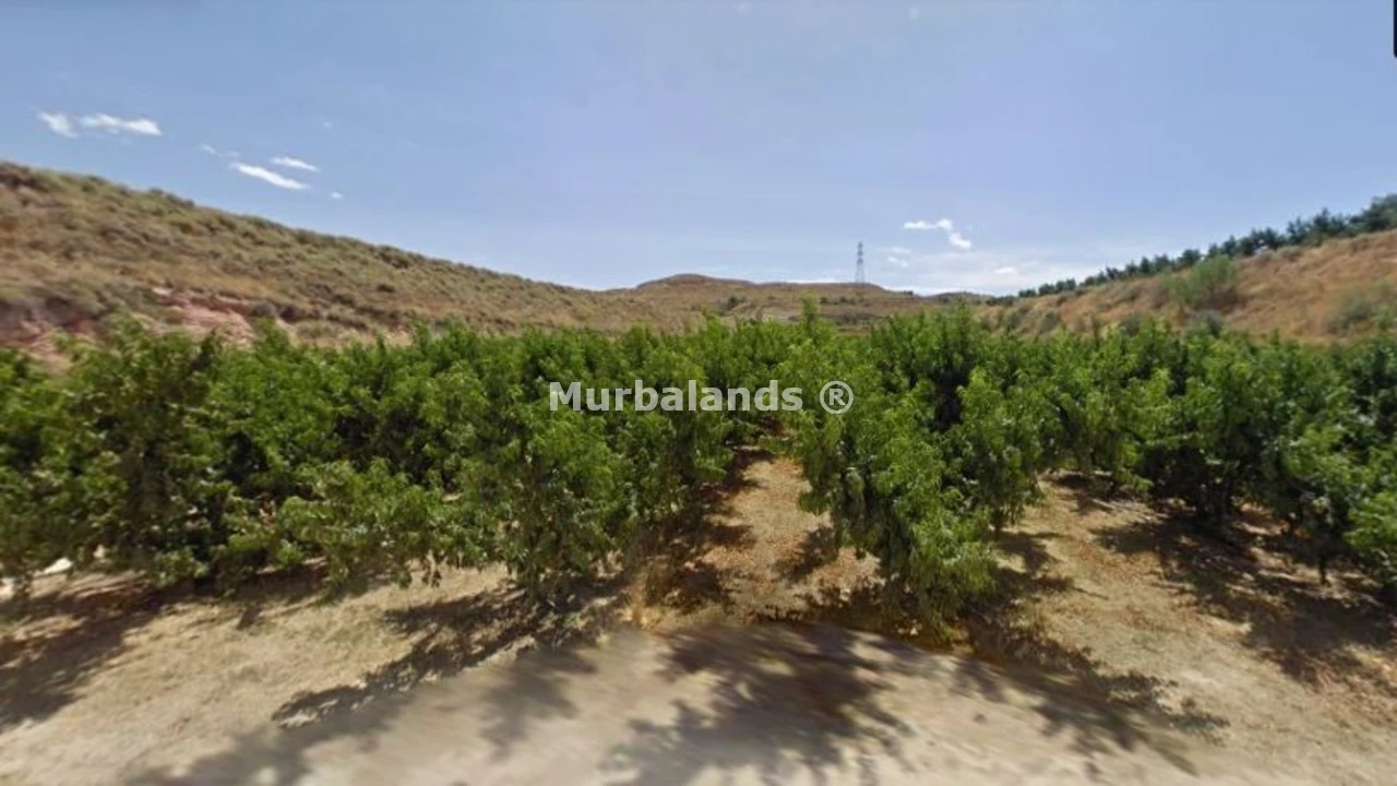 Foto de un terreno o una obra parada para mostrar en el detalle del inmueble