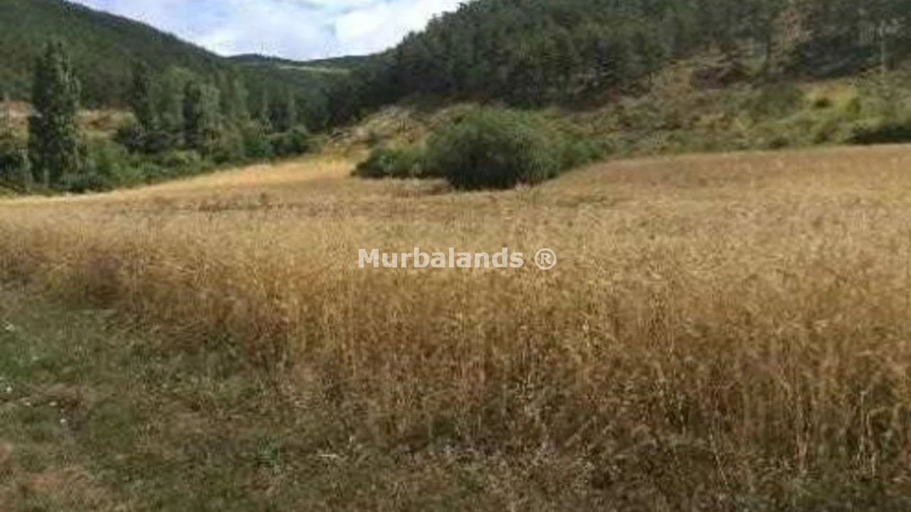 Terreno destacado