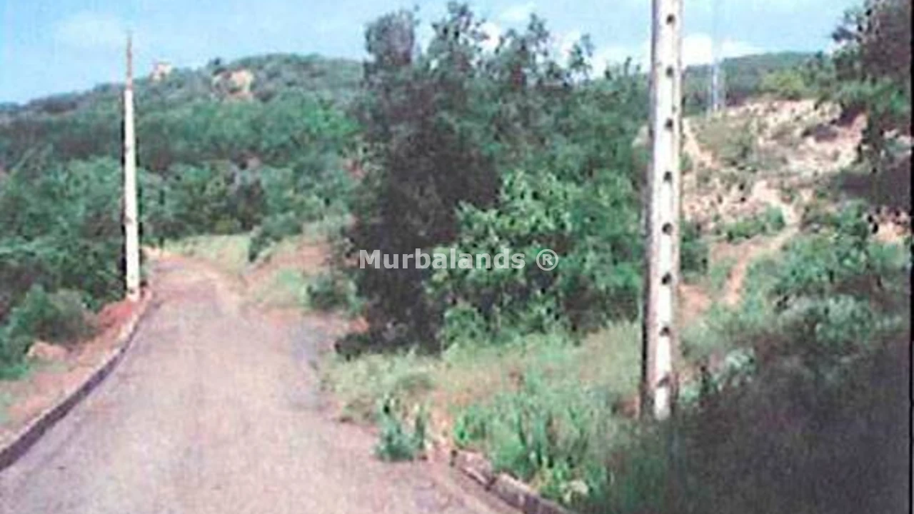 Foto de un terreno o una obra parada para mostrar en el detalle del inmueble