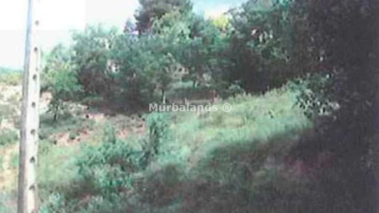 Foto de un terreno o una obra parada para mostrar en el detalle del inmueble