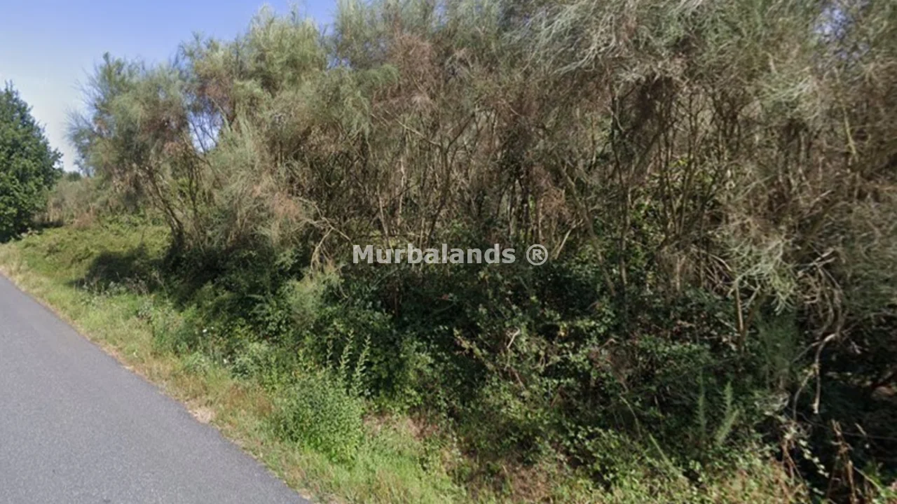 Foto de un terreno o una obra parada para mostrar en el detalle del inmueble