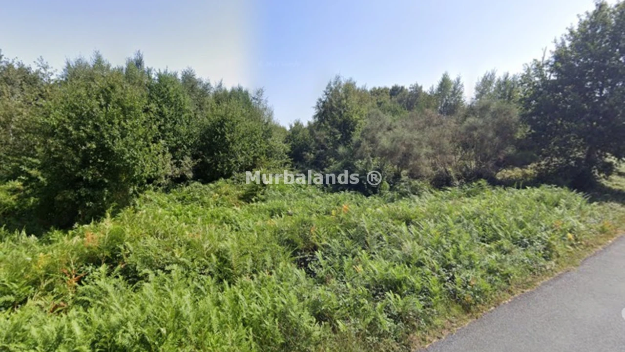 Foto de un terreno o una obra parada para mostrar en el detalle del inmueble