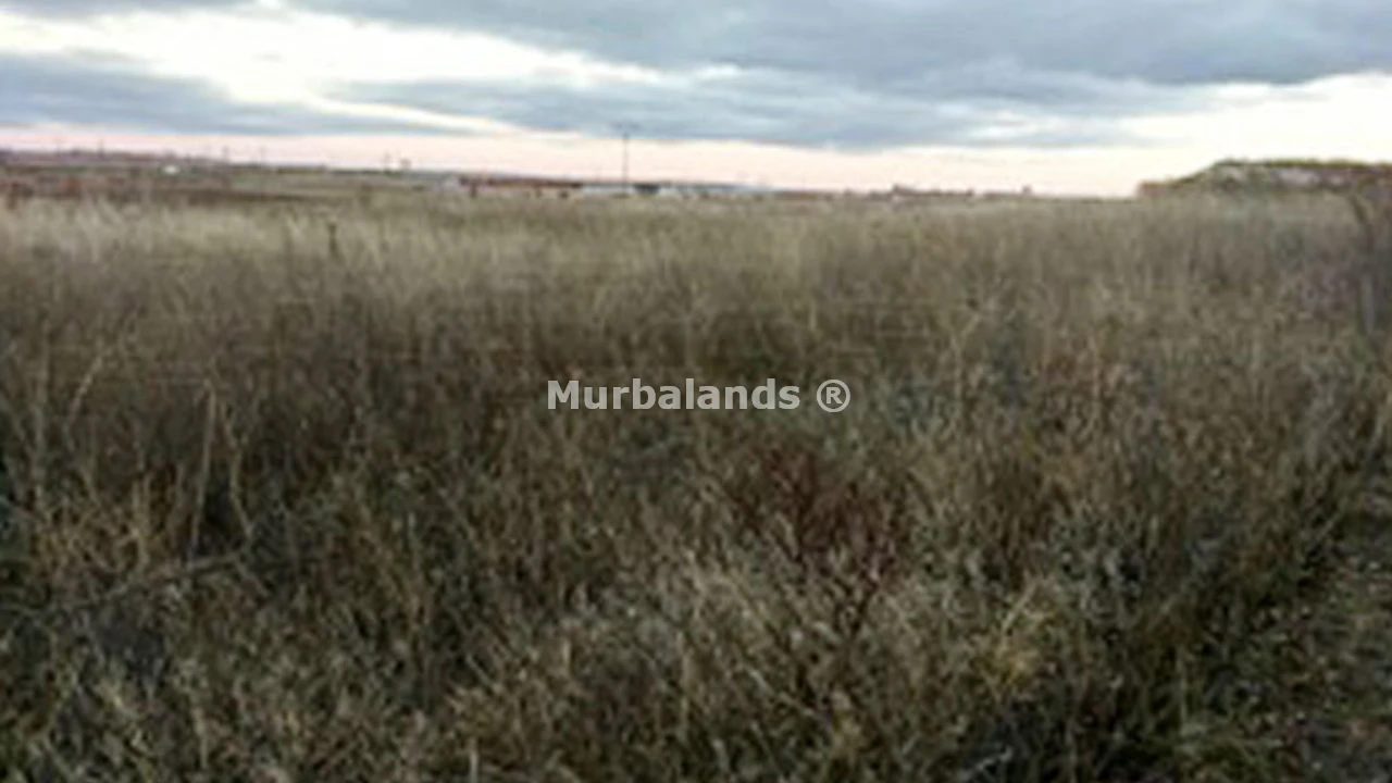 Foto de un terreno o una obra parada para mostrar en el detalle del inmueble