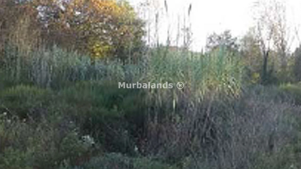 Foto de un terreno o una obra parada para mostrar en el detalle del inmueble