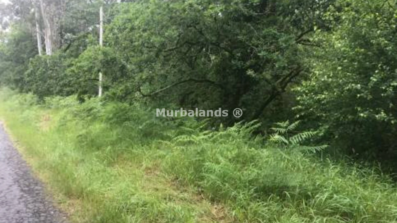 Foto de un terreno o una obra parada para mostrar en el detalle del inmueble