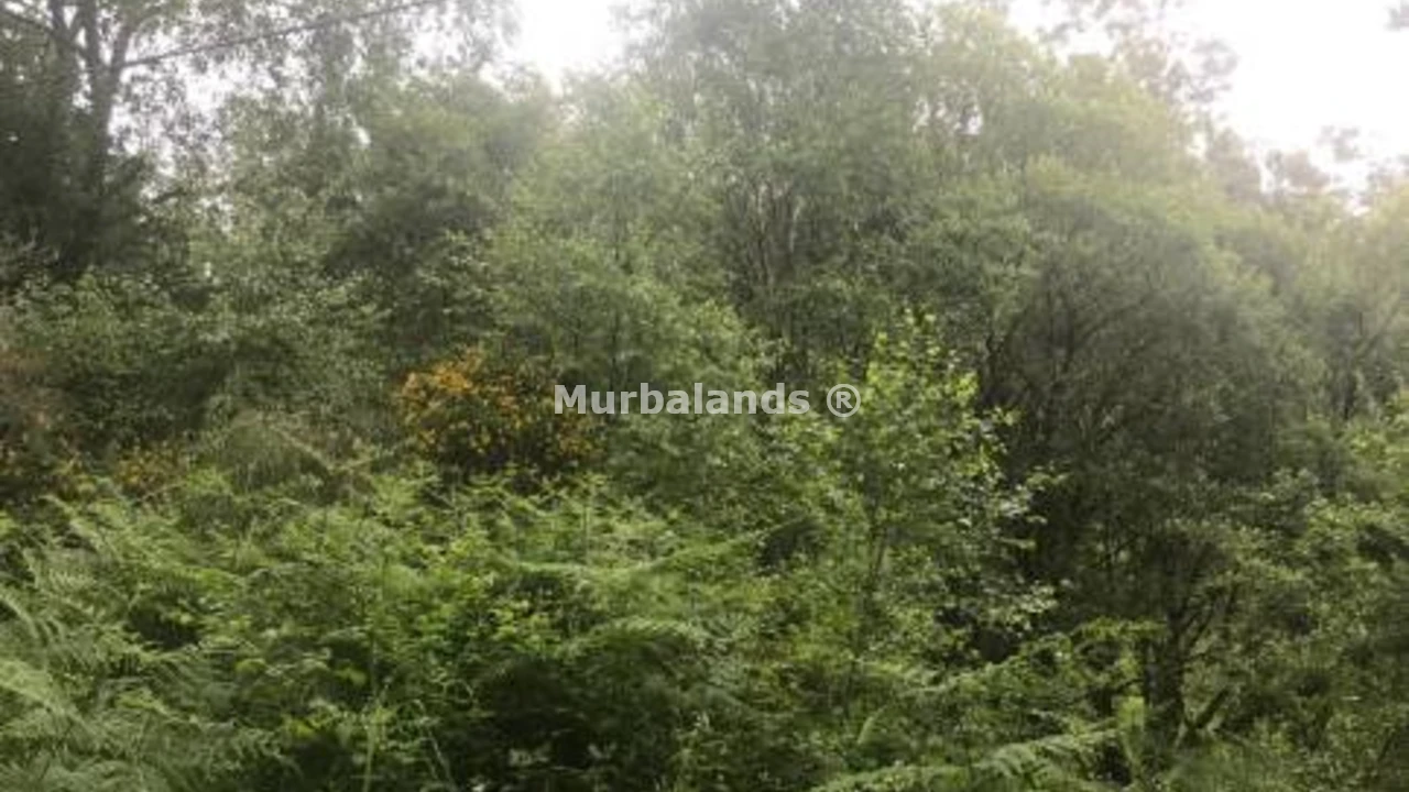 Foto de un terreno o una obra parada para mostrar en el detalle del inmueble