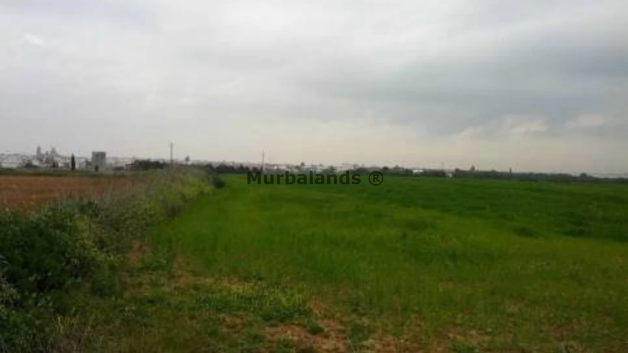 Foto de un terreno o una obra parada para mostrar en el detalle del inmueble