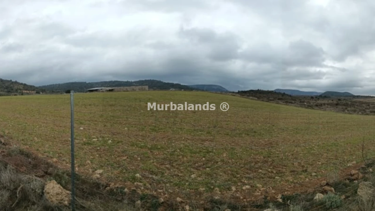 Foto del anuncio Ref. 00005259