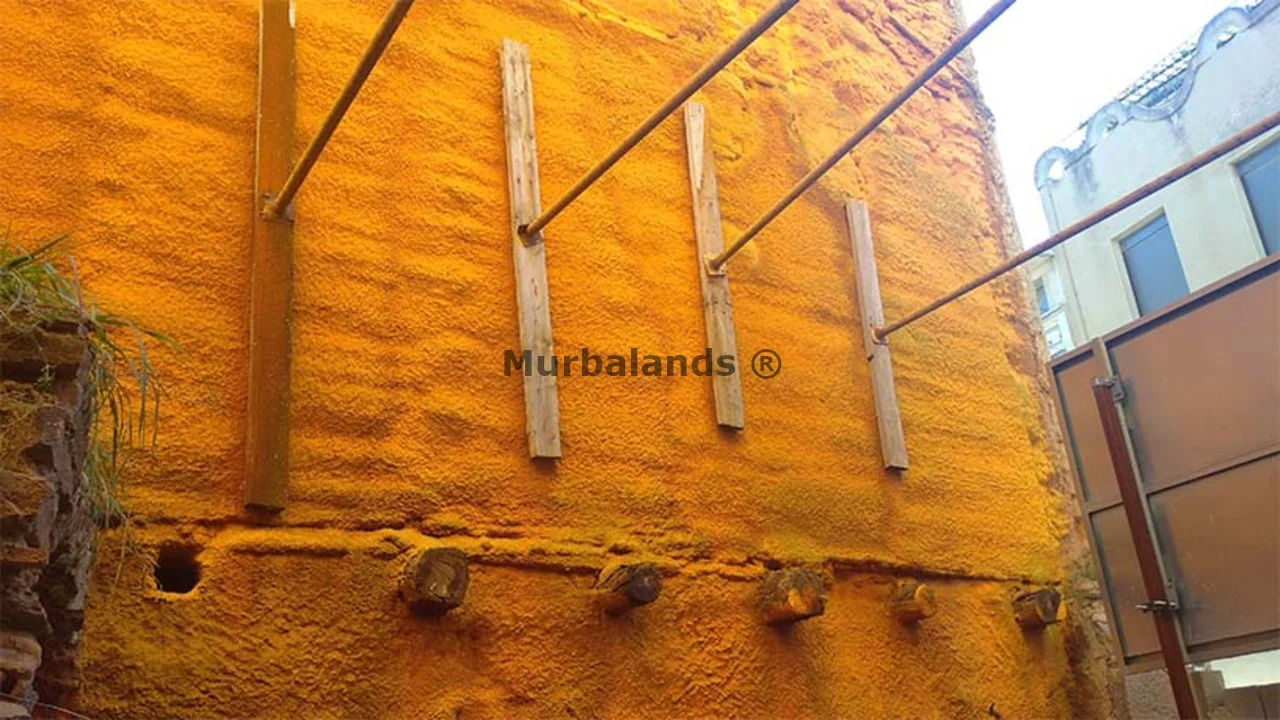 Terreno destacado