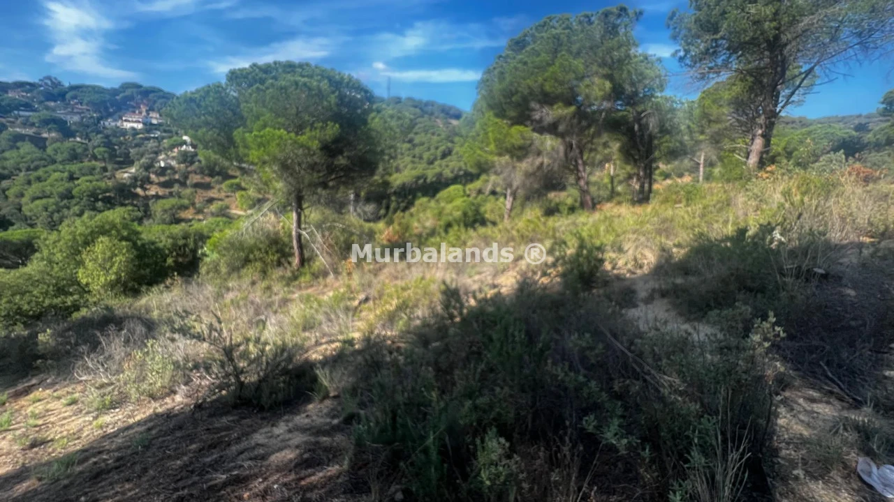 Foto del anuncio Ref. 00005277