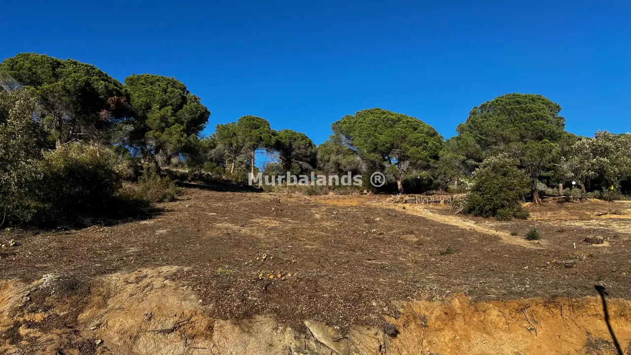 Foto del anuncio Ref. 00005277