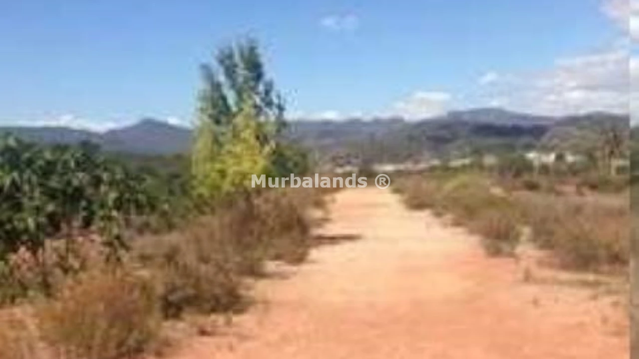 Foto de un terreno o una obra parada para mostrar en el detalle del inmueble