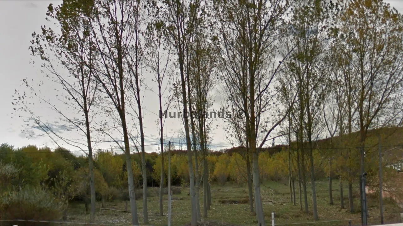 Foto de un terreno o una obra parada para mostrar en el detalle del inmueble